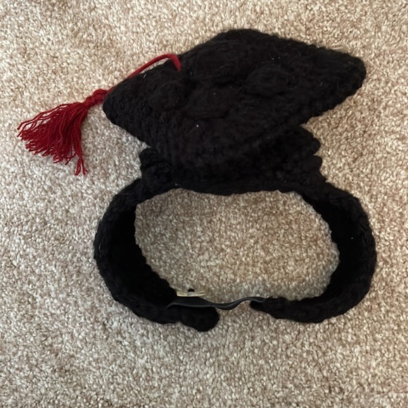 Dog graduation cap 🎓 - Picture 3 of 5